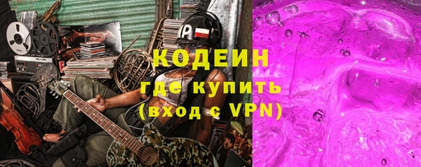 хмурый Алзамай