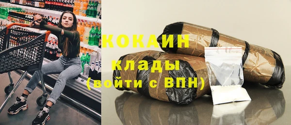 хмурый Алзамай