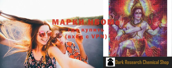 хмурый Алзамай