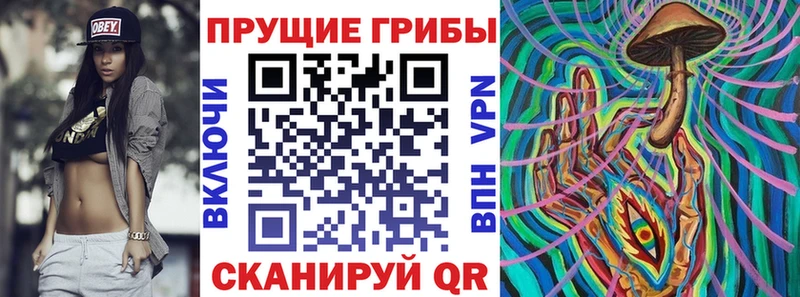 Псилоцибиновые грибы мухоморы  даркнет сайт  Заполярный 